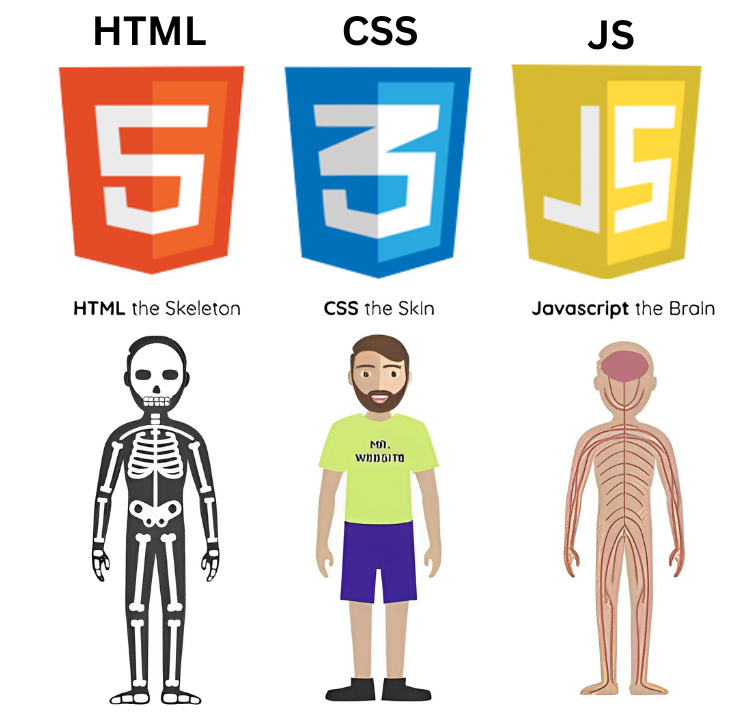 HTML/CSS/Javascript
